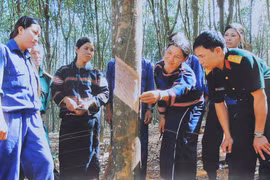 Kỳ cuối: Bản giao hưởng từ những vùng đất khó