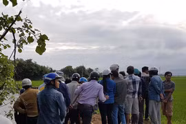 Phát hiện một thi thể trương phình nổi ven bờ ruộng
