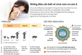 Những điều cần biết về virus cúm và cúm A