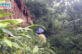 Gia đình sống gần như tuyệt giao với thế giới bên ngoài ở Thanh Hóa: Đang khai quật "khu vườn bí ẩn"