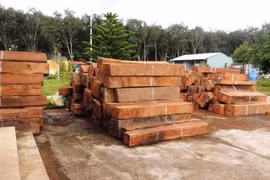 Tạm giữ gần 40 m3 gỗ vận chuyển từ Lào vào Việt Nam