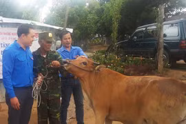 Theo dấu chân những người anh hùng