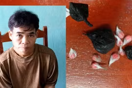 Khởi tố đối tượng chuyên bán ma túy trong rừng