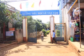 Đình chỉ chức vụ, công tác đối với Hiệu trưởng, Kế toán Trường Tiểu học Lê Văn Tám