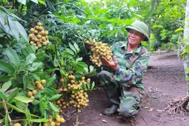 Vợ chồng cựu binh làm giàu trên vùng đất khó