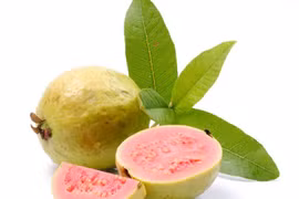 Những ích lợi bất ngờ của quả ổi đối với làn da và sức khỏe