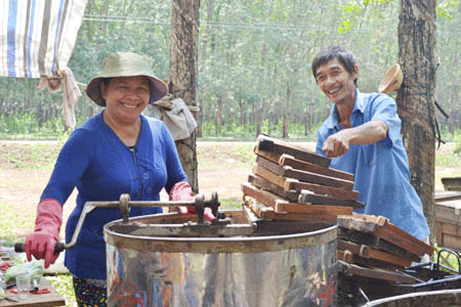 Cơ hội phát triển thương hiệu mật ong Gia Lai