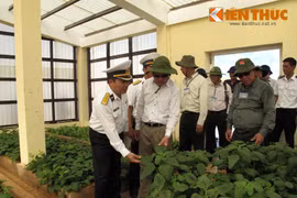 Cận cảnh nguồn thực phẩm đặc biệt quan trọng ở Trường Sa