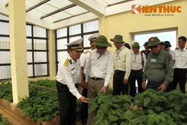 Cận cảnh nguồn thực phẩm đặc biệt quan trọng ở Trường Sa