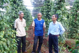 Nông dân Chư Pưh thi đua sản xuất kinh doanh giỏi