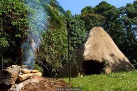 Kỳ bí khu rừng tâm linh Buswa