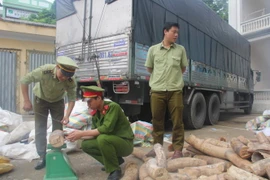 ​Bắt giữ xe tải vận chuyển hơn 2,7 tấn ngà voi trái phép