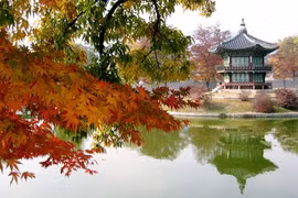 Khánh Hòa xúc tiến mở đường bay thẳng Nha Trang-Seoul