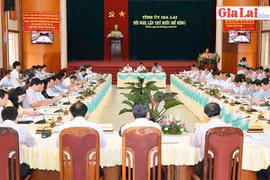 Hội nghị Ban Chấp hành Đảng bộ Gia Lai lần thứ X: Thảo luận nhiều giải pháp quan trọng