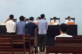 4 cán bộ Trạm Kiểm dịch thực vật Lệ Thanh lãnh án tù