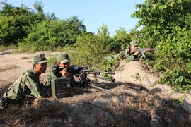 Sư đoàn 2 (Quân khu 5): Hoàn thành diễn tập "DT-17"
