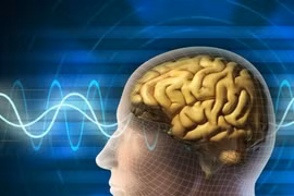 Đột nhiên sốt cao, nói ngọng hãy nghĩ đến tổn thương não