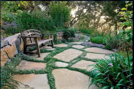 Cách cực hay mà đơn giản để làm mới sân vườn nhà bạn