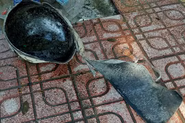 Nổ bình khí bơm bóng bay, một người phụ nữ bị thương