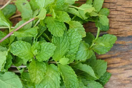 Mẹo hay khử ngay mùi tỏi trong hơi thở