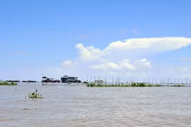 Ký ức về túi cá Biển Hồ