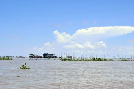 Ký ức về túi cá Biển Hồ