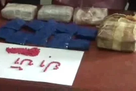 Triệt phá đường dây ma túy cực lớn từ Lào "tuồn" vào Việt Nam