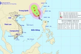 Bão số 8 tiến vào Trung Quốc, gió giật cấp 13