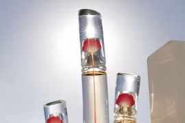 Sáu mùi hương nước hoa lý tưởng dành cho mùa Hè