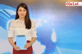 Gia Lai 48h: 4 cán bộ Trạm Kiểm dịch thực vật Lệ Thanh lãnh án tù