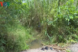 Phát hiện thi thể bé gái 13 tuổi chôn trong bụi cây