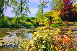 Theo cô gái Việt thăm vườn hoa của danh họa Monet