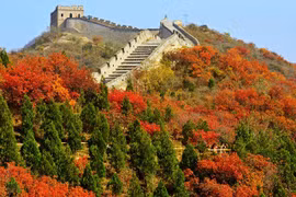 Ngây ngất ngắm 'rừng lửa' thu vàng