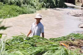 Học sinh lớp 4 bị nước cuốn trôi ở Đồng Nai, thi thể được tìm thấy ở Bình Dương