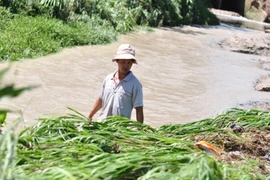 Học sinh lớp 4 bị nước cuốn trôi ở Đồng Nai, thi thể được tìm thấy ở Bình Dương