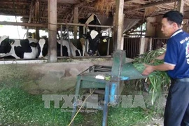 Trên 30 triệu lượt hộ nghèo được vay vốn chính sách