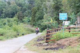 Trên 46 ngàn hộ gia đình hưởng lợi từ Dự án IFAD