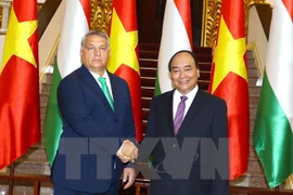 Tuyên bố chung Việt Nam-Hungary: Đối tác hiệu quả và thực chất