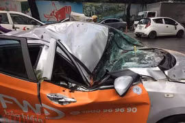 Cây đổ đè ô tô bẹp dúm trong cơn mưa lớn, một người bị thương