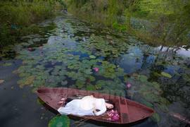 Ngắm suối Yến đẹp lãng mạn mùa hoa súng nở