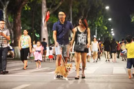 Khi "thú cưng" trở thành ẩn họa