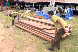 Bắt xe tải chở hơn 40 m3 gỗ không rõ nguồn gốc