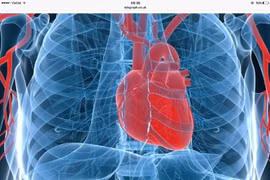 Xét nghiệm máu nhanh giúp chẩn đoán nhồi máu cơ tim trong 20 phút