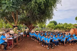 Ra quân trồng hơn 22 ha rừng sản xuất