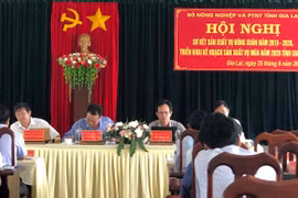 Gia Lai: Hơn 6.980 ha cây trồng vụ Đông Xuân bị hạn