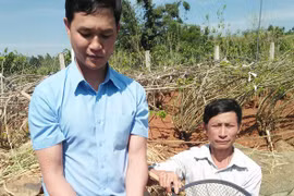 Lâm Đồng: Cho cá chài đặc sản miền Tây ở với cá chép, 2 con "chung sống hòa bình", bắt lên cả tấn