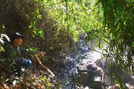 Nhà máy xả thải gây ô nhiễm: Cần khắc phục triệt để