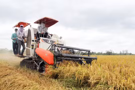 Nghị quyết miễn thuế sử dụng đất nông nghiệp được thông qua, nông dân tiết kiệm 7.000 tỷ