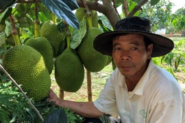 Biến đất cằn thành trang trại tiền tỷ
