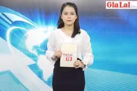 Gia Lai 48h: Cộng đồng trách nhiệm phòng-chống sốt xuất huyết